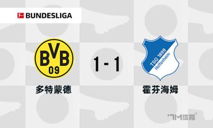 德甲：多特蒙德1-1霍芬海姆，雷納破門，拉爾森絕平