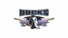 北京隊(duì)總決賽前兩場(chǎng)主場(chǎng)門票明日開(kāi)售 最低180元最高1980元