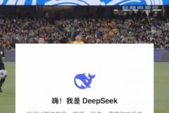 DeepSeek預(yù)測中澳之戰(zhàn)：可能平局，大概率0-2或1-3