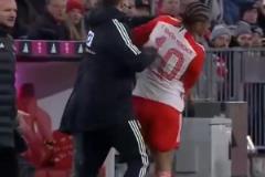 自己甚至能跟自己干起來的！拜仁球迷：我們的薩寶，你都敢惹？