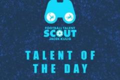 著名球探網(wǎng)站對王鈺棟的球探報告 模板馬丁內(nèi)利