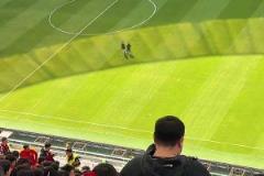 網(wǎng)友分享帶娃去大連主場遠征，三層看臺把小朋友嚇哭