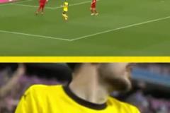 勇者無懼！這是真多特球迷！在拜仁球迷區(qū)一個人肆意慶祝！