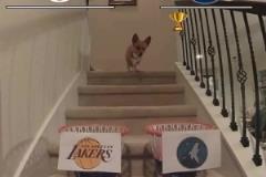 經(jīng)典回顧！C羅歐冠賽場面對拜仁完成帽子戲法，助皇馬進半決賽