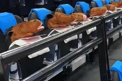 太有梗了！快船主場給觀眾發(fā)放帽子馬搞約基奇心態(tài)