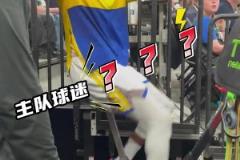 搞心態(tài)的神！追夢跟森林狼球迷互動：你要多賺點錢才能坐前面