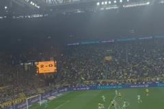 黃黑海洋！球迷視角看此前阿德耶米對陣狼堡，替補完成梅開二度！