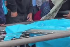 洛里這反應(yīng)太慢了！羅伊斯在洛杉磯德比中一腳任意球絕平